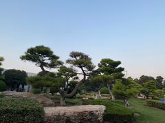 -中国唐苑