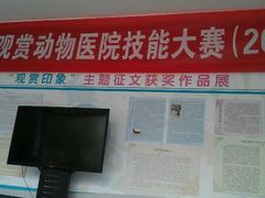 -北京观赏动物医院·24小时大型综合·猫专科·异宠专科