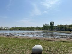 -长春市南湖公园