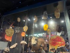 -龙岗区科技馆