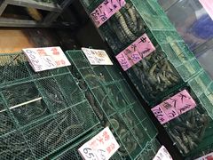 -荔城生鲜盛宴(番禺旗舰店)