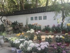 -汇龙潭