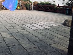 -狐尾山公园