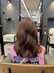 -藤野造型