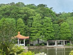 -深圳仙湖植物园
