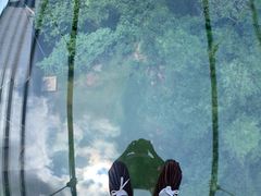 -客天下恐龙水晶玻璃桥