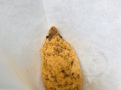 -禾生粑粑坊(陕西路店)