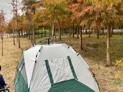 -上海海湾国家森林公园