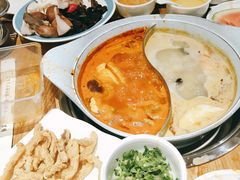 -青瓷火锅料理(西单大悦城店)