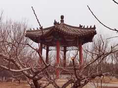 -北京凤凰岭