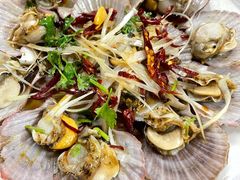 油泼扇贝-1910老鲁味海鲜·戳子肉·青岛菜(金沙滩店)