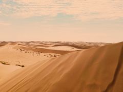 -沙漠世界地质公园