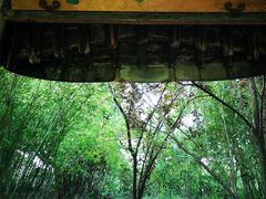 -雨花胜境