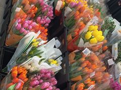 -循礼门鲜花花市(武汉循礼门店)