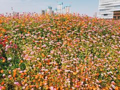 -武汉理工大学（南湖新校区）-图书馆