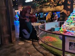 -华夏文旅海洋公园