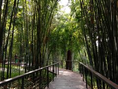 -云溪植物园