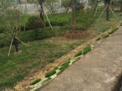 -四明山国家森林公园