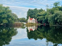 -上海共青森林公园