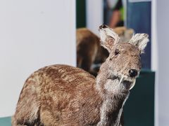 -中国湿地博物馆