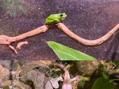 -正佳雨林生态植物园