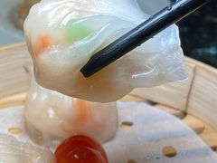 -新兴·金羊座·粤菜点心(乐峰店)