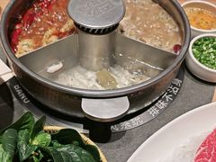-巴奴毛肚火锅(龙湖锦艺城店)