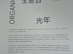 -德基艺术博物馆