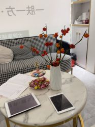 -MIDA蜜哒•科技逆龄美肤连锁