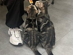 -重庆麻辣烫(国权路店)