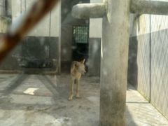 -青峰峡国家森林公园