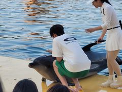 -秦皇岛乐岛海洋王国