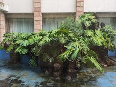 -柳州饭店·绿岛餐厅(友谊路店)