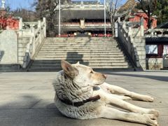 -江阴君山寺