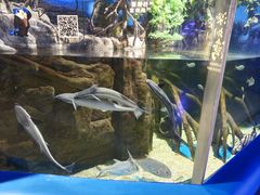 -欢乐海岸海洋奇梦馆