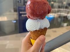 -LUNEURS月乐诗·法式冰淇淋(北外滩来福士广场店)