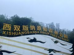-西双版纳原始森林公园