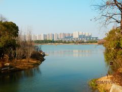 -洋湖国家湿地公园
