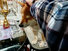 android_upload_pic-东浩兰生上海世博展览馆