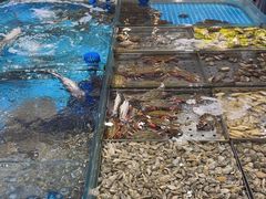 -双合园·海鲜水饺青岛菜(九水东路店)