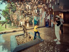 -上海市龙华烈士陵园