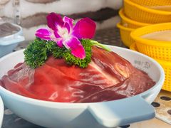 -钢管厂五区小郡肝火锅串串香(总店)