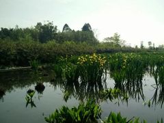 -白鹭湾湿地公园