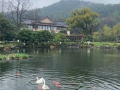 -杭州雅谷泉山庄酒店-餐厅