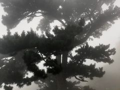 -妙峰山风景名胜区