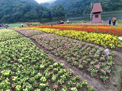 -广州市石门国家森林公园