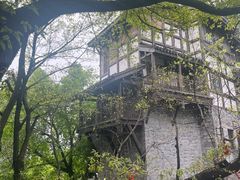 -重庆十八梯传统风貌区