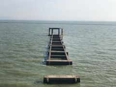 -贡湖湾湿地公园