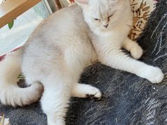-平行世界·猫咖(首经贸店)