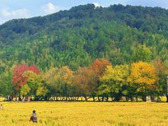 -塔川景区